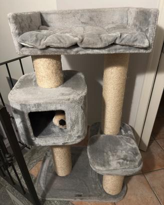 Tira graffi per main coon