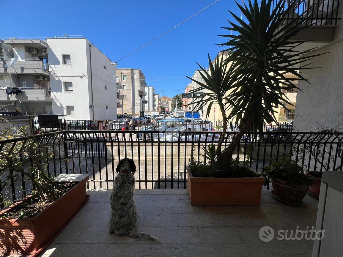 Appartamento – Altamura, Bari - Vista 4