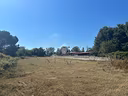 ter-agricolo-a-artena