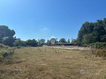 TER. AGRICOLO A ARTENA