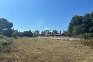 TER. AGRICOLO A ARTENA
