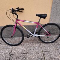 mtb ruote 26