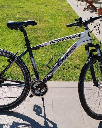 Mountain Bike Liotto