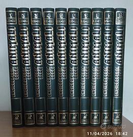 Enciclopedia DEGLI ANIMALI - Peruzzo Editore 