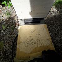 Pressa scaldante per ricami SHINKO