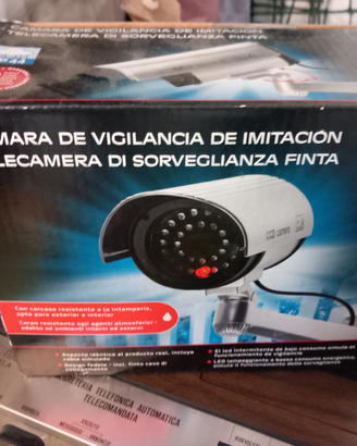 Telecamera