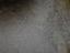 Immagine 24