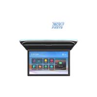 SCHERMO PER TETTO FULL HD DA 17,3"