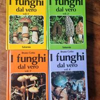 I funghi dal vero (Bruno Cetto)