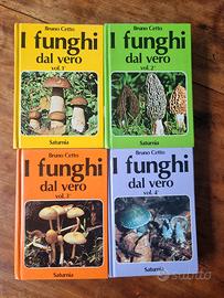 I funghi dal vero (Bruno Cetto)