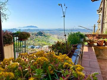 3 LOCALI A MONTEBUONO