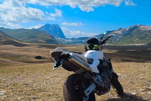 HONDA HORNET 