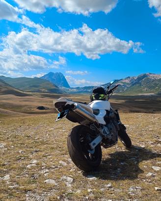 HONDA HORNET 