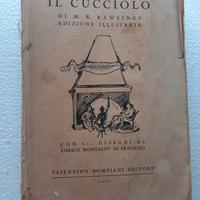 vecchio libro IL CUCCIOLO di M.K. Rawlings