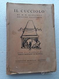 vecchio libro IL CUCCIOLO di M.K. Rawlings