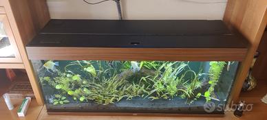 Acquario acqua dolce 300 litri completo di pompa,