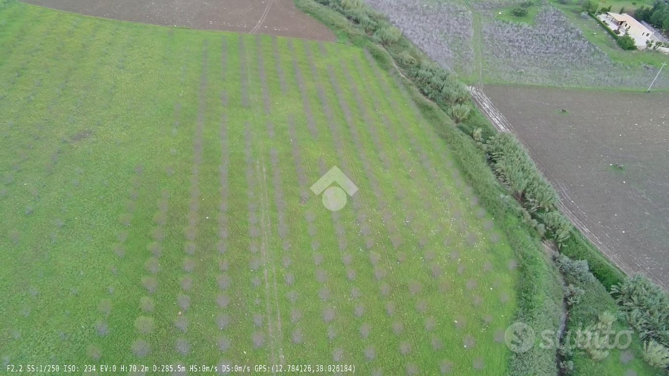 TER. AGRICOLO A CASTELLAMMARE DEL GOLFO - Vista 3