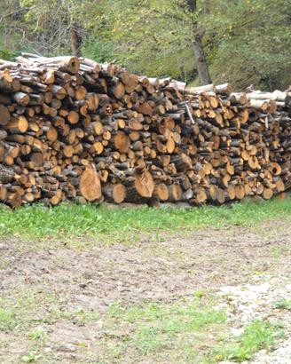 Legna di castagno