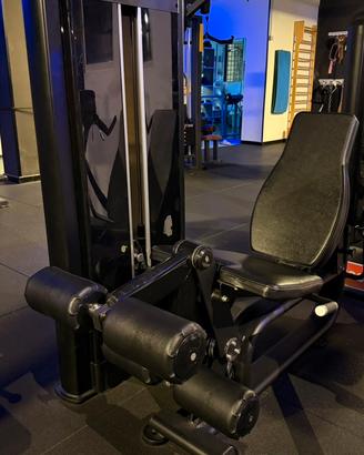 Diamond Leg Exstension Leg Curl professionale