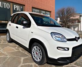 FIAT PANDA 1.0 benzina hybrid 70 CV KM 0 2024