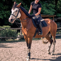 Cavalla del 2010, si