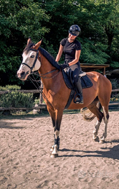 Cavalla del 2010, si