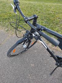 city bike/trekking Pegasus 