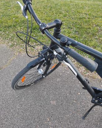 city bike/trekking Pegasus 