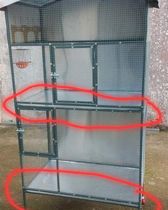 Voliera