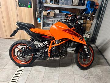 Duke 390 2024-8100 km, quick shifter