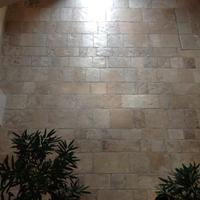 Basole formati a correre o misti