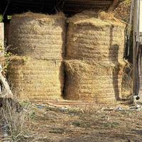 Rotoli di erba medica