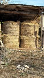 Rotoli di erba medica