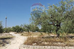 Terreno Edificabile - Mazzarrone