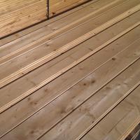 Perline Abete mm 20 qualità A/B