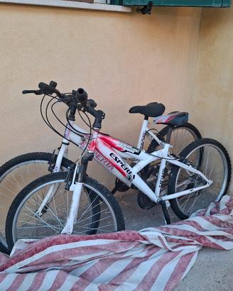 I 2 BICICLETTE USATE POCO