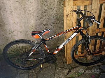 biciclette ragazzo e ragazza