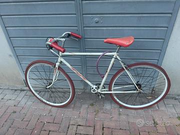 Bici da uomo
