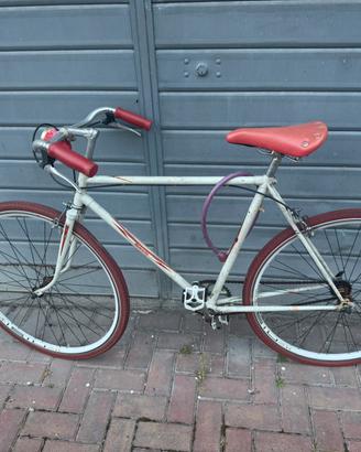 Bici da uomo