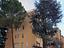 Immagine 11