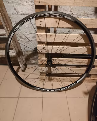 ruota anteriore 28 corsa/city bike 
