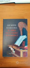 il libro dell'amore impossibile Giuseppe culicchia