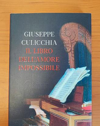 il libro dell'amore impossibile Giuseppe culicchia