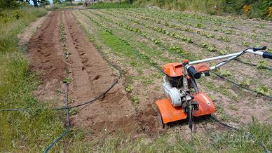 motozappa 6hp stihl