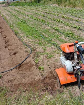 motozappa 6hp stihl