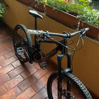Santa Cruz Nomad C