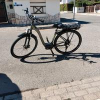 Bicicletta pedalata assistita