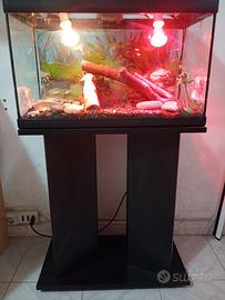 terrario x iguana super accessori più supporto..