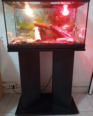 terrario x iguana super accessori più supporto..