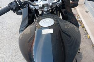 Honda Hornet s
